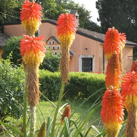 Podere San Raffaele Bed & Breakfast Aiello del Sabato