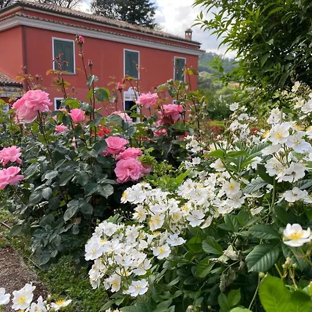 Podere San Raffaele Bed & Breakfast