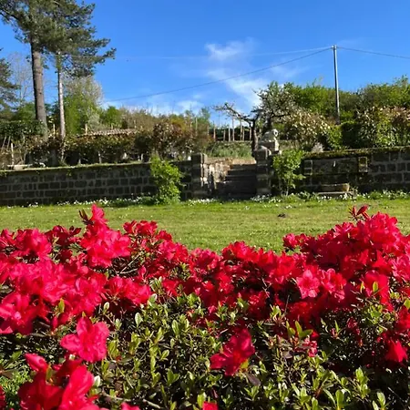 Bed & Breakfast Podere San Raffaele 3*