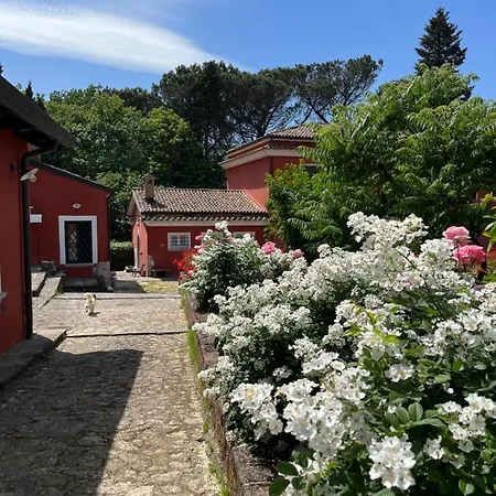 Podere San Raffaele