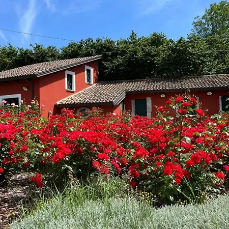 Podere San Raffaele Bed & Breakfast *