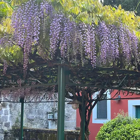 Podere San Raffaele Bed & Breakfast